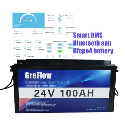 Ciclo profondo Lifepo4 Marine Battery 24v 100Ah di potere di Smart BMS Bluetooth App Energy per la barca